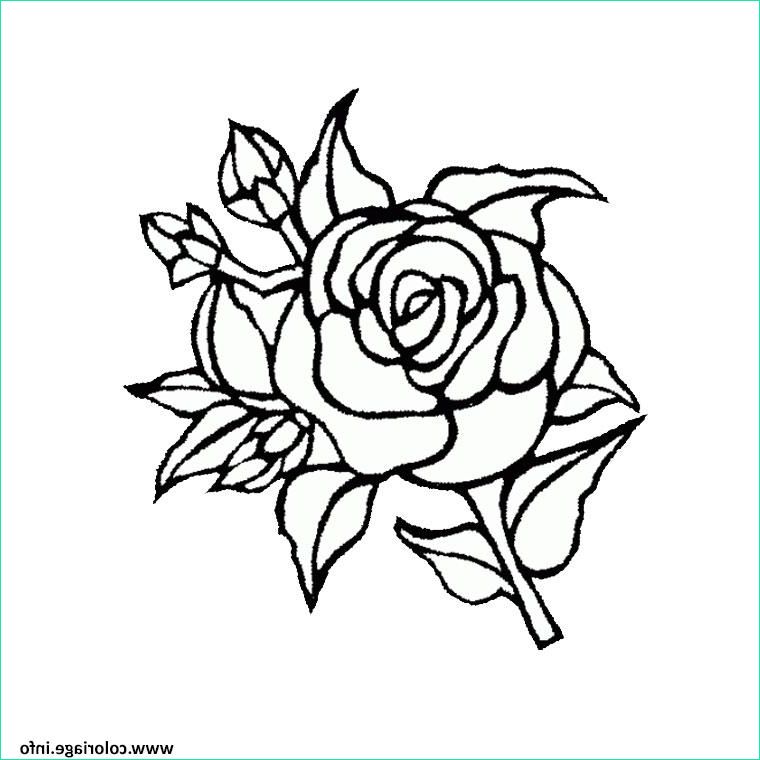 Coloriage De Rose Bestof Images Coloriage Roses 115 Dessin Rose à Imprimer