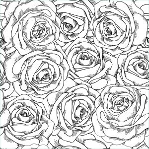 Coloriage De Rose Bestof Stock Coloriage De Roses à Imprimer