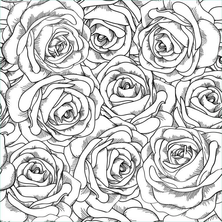 Coloriage De Rose Bestof Stock Coloriage De Roses à Imprimer