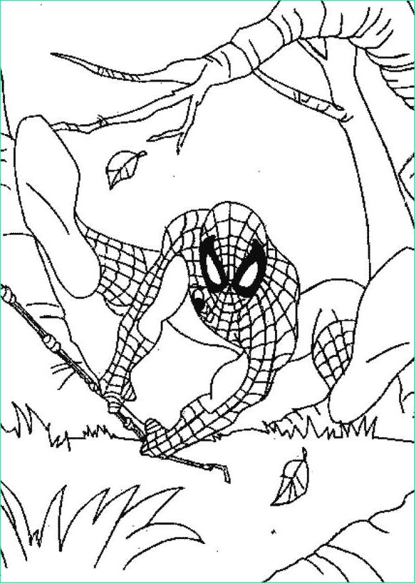 Coloriage Enfant A Imprimer Unique Galerie Coloriage Enfant Spiderman