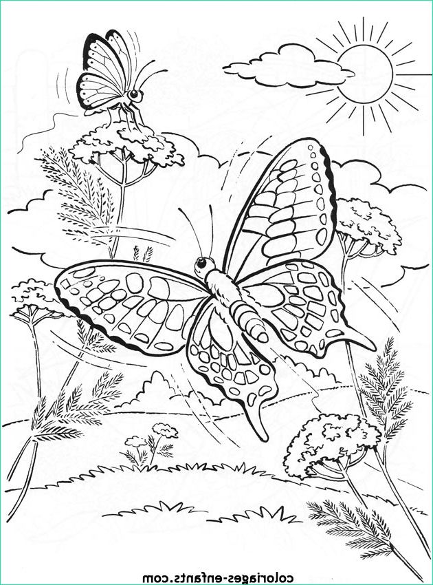 Coloriage Enfant A Imprimer Unique Stock Coloriage D Papillons De La Rubrique Animaux à Imprimer De