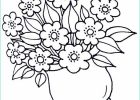 Coloriage Fleurs à Imprimer Nouveau Galerie Ptines Et Coloriages Printemps