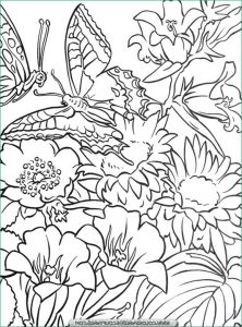 Coloriage Fleurs Nouveau Image Coloriage Fleur Et Plante Page 2