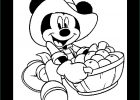 Coloriage Mikey Beau Stock Mickey Et Des Pommes Coloriage Mickey Coloriages Pour