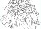 Coloriage Pricesse Bestof Image Disney Princess Coloring Pages for Adults at Getcolorings