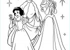 Coloriage Pricesse Inspirant Photos Princess Coloring Pages Best Coloring Pages for Kids