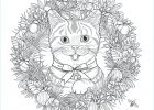 Coloriages Chats Bestof Stock 10 Loisirs Coloriage Adulte Animaux Gallery Coloriage