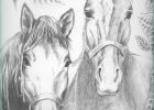 Coloriages De Chevaux Élégant Galerie Art therapy Coloring Page Horses Horses 3