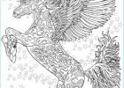 Coloriages De Chevaux Inspirant Image Coloriage De Chevaux Difficile