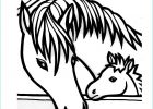 Coloriages De Chevaux Nouveau Images Coloriage204 Coloriage De Chevaux à Imprimer Gratuit
