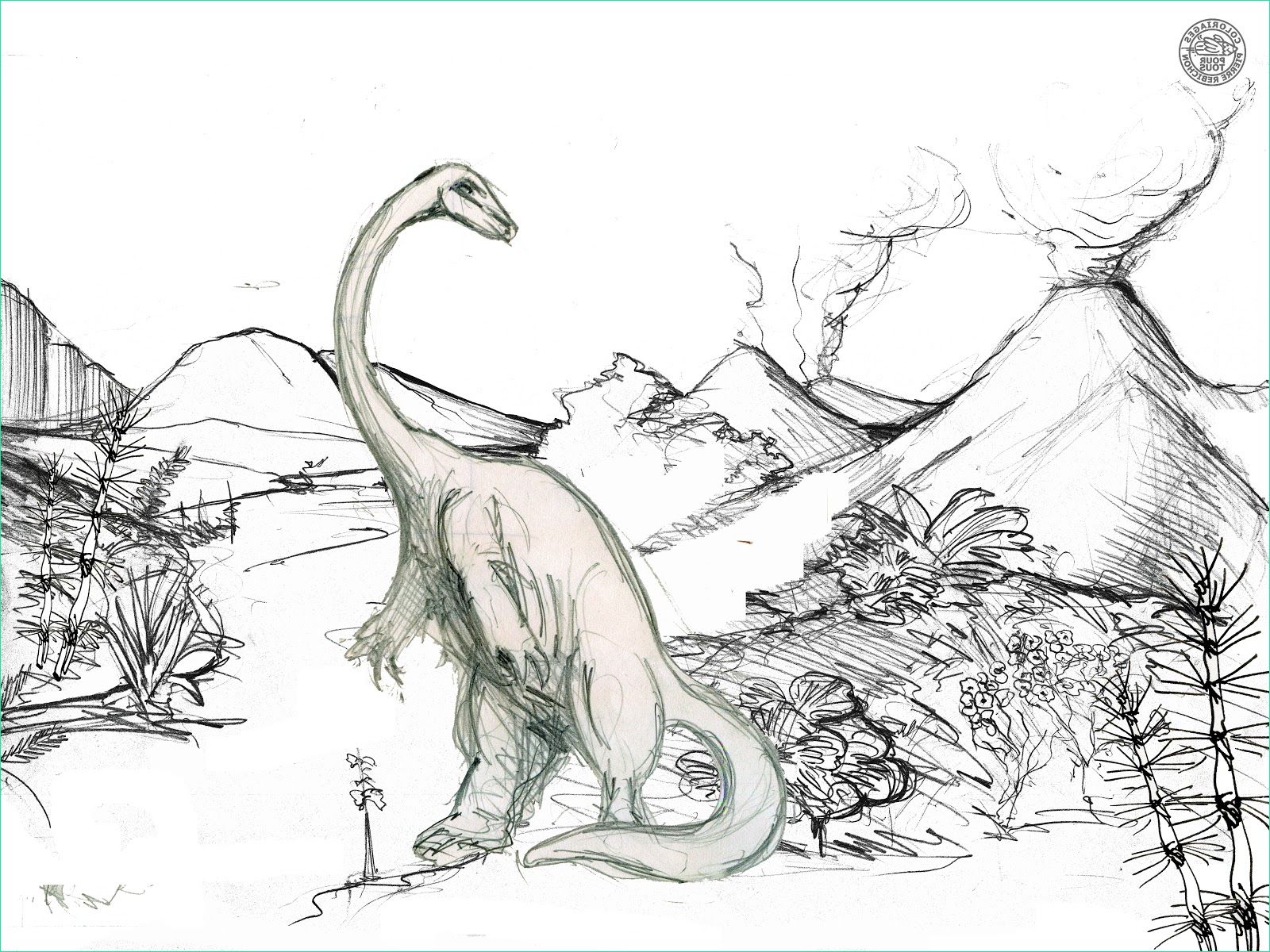Coloriages Dinosaures Inspirant Images Coloriages Pour tous Les Dinosaures