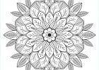Coloriages Mandala Bestof Photos Leave &amp; Flowers M&amp;alas Adult Coloring Pages