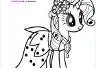 Coloriages My Little Pony Cool Photos My Little Pony Rarity Coloring Pages