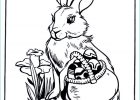 Colorige Cool Photos Nos Jeux De Coloriage Lievre à Imprimer Gratuit