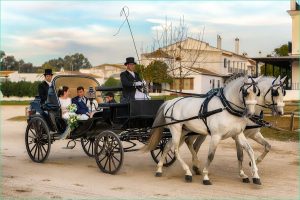 Coriage Inspirant Photos Horses In the Munity for Weddings the 1 Resource for