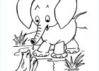 Dessin A Imprimer Enfant Cool Photographie Coloriage D éléphant à Imprimer Gratuitement Coloriage D