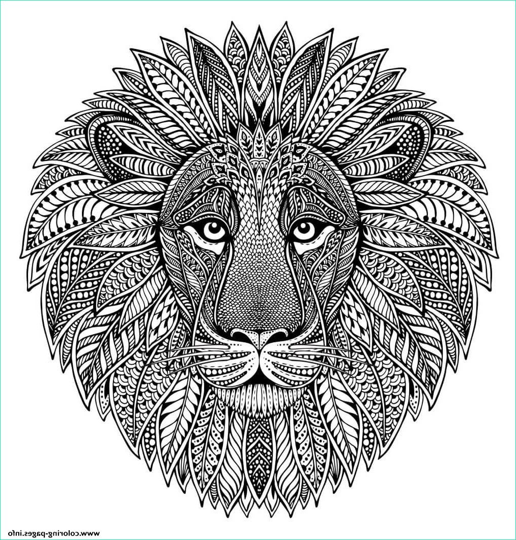 Dessin A Imprimer Mandala Difficile Animaux Élégant Photos Mandala Animal Adult Lion Coloring Pages Printable