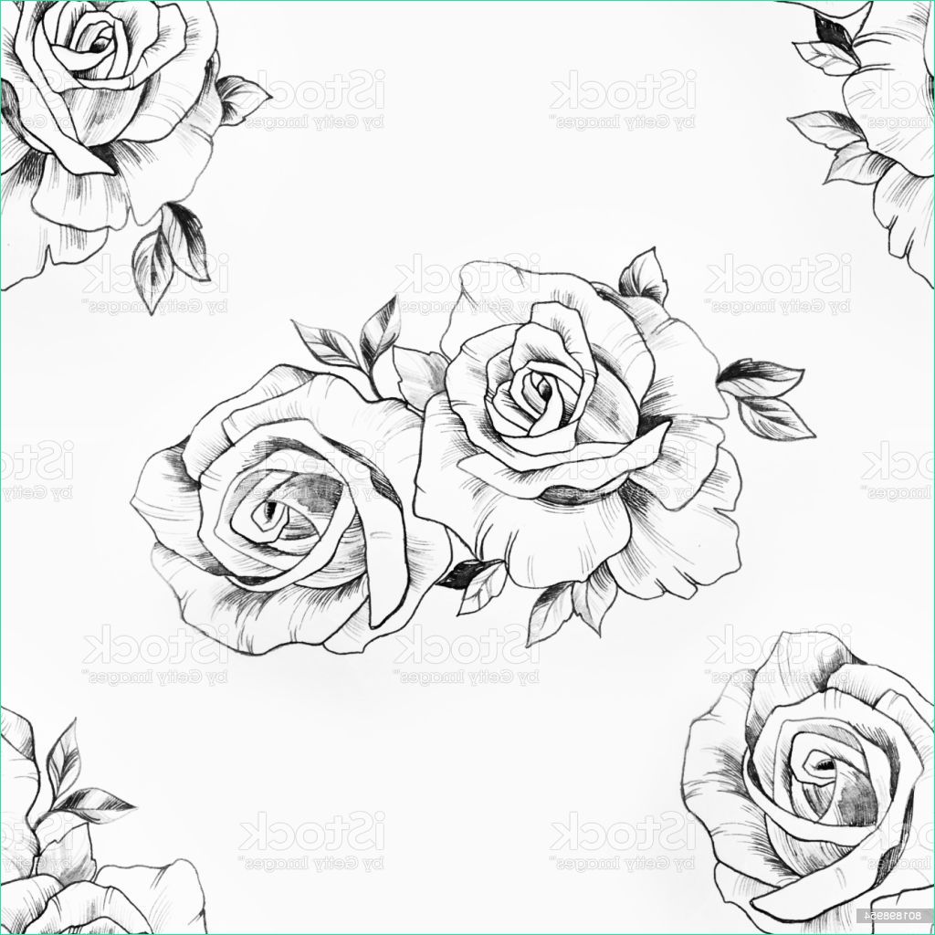 Dessin Bouquet De Rose Beau Image Modèle Sans Couture Dune Branche De Belles Roses Sur Fond