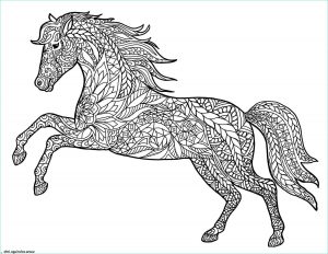 Dessin Cheval à Imprimer Bestof Images Meilleur Pour Dessin De Cheval Coloriage A Imprimer