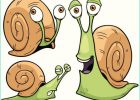 Dessin D Escargot Luxe Photos Escargot Dessin Animé Vecteurs Libres De Droits Et Plus D