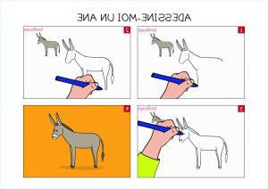 Dessin D&amp;#039;âne Beau Photos Apprendre à Dessiner Un âne En 3 étapes