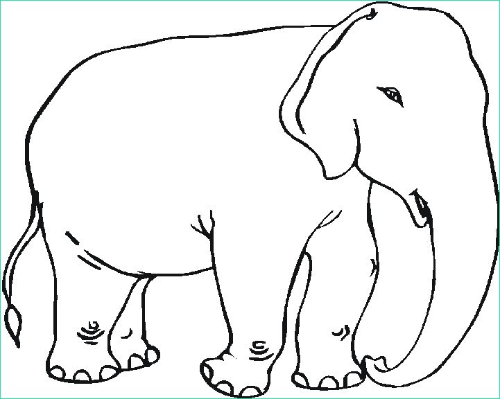Dessin D&amp;#039;éléphant à Imprimer Beau Galerie Sélection De Coloriage éléphant à Imprimer Sur Laguerche