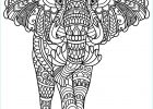 Dessin D&#039;éléphant à Imprimer Beau Photographie Elephant Coloriage D éléphants Coloriages Pour Enfants