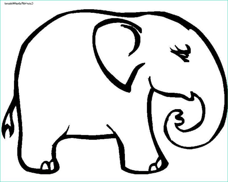 Dessin D&amp;#039;éléphant à Imprimer Beau Stock Coloriage Zoo