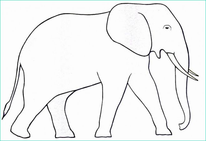 Dessin D&amp;#039;éléphant à Imprimer Bestof Photos Coloriage Éléphant Simple Dessin Gratuit à Imprimer