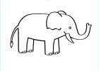 Dessin D&#039;éléphant à Imprimer Impressionnant Collection Coloriage à Imprimer Un éléphant