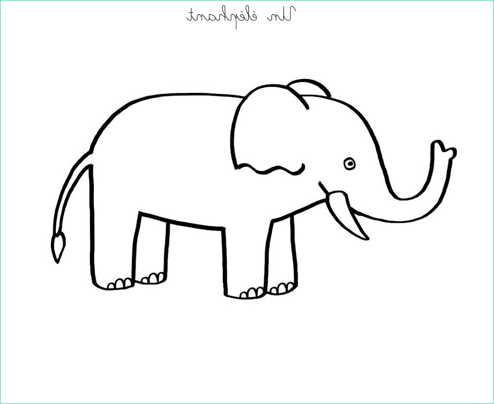 Dessin D&amp;#039;éléphant à Imprimer Impressionnant Collection Coloriage à Imprimer Un éléphant