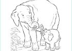 Dessin D&#039;éléphant à Imprimer Luxe Images Elephant Coloring Pages