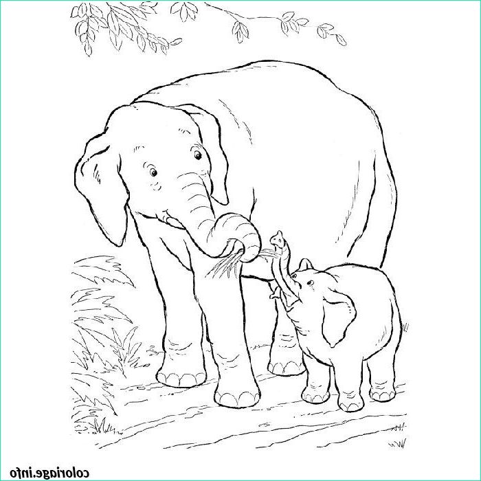 Dessin D&amp;#039;éléphant à Imprimer Luxe Images Elephant Coloring Pages