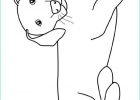 Dessin De Chiens Nouveau Image Coloriage De Chiens