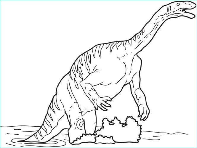Dessin De Dinosaure à Imprimer Élégant Collection Coloring Plateosaurus Picture