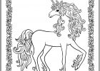 Dessin De Licorne Difficile Nouveau Photos Coloriage Licorne Royale Avec Contour En Fleurs Dessin