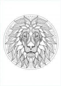 Dessin De Mandala D&amp;#039;animaux Bestof Photos Mandala Tete Lion 3 Mandalas Coloriages Difficiles