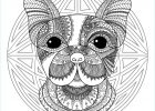Dessin De Mandala D&#039;animaux Nouveau Galerie Plex Mandala Coloring Page with Cute Little Dog Head 2