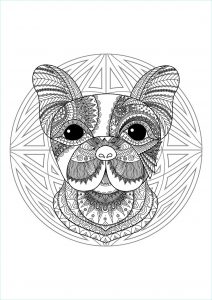 Dessin De Mandala D&amp;#039;animaux Nouveau Galerie Plex Mandala Coloring Page with Cute Little Dog Head 2