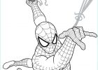Dessin De Spiderman En Couleur Unique Image Pin On Line Art