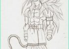 Dessin Dragon Ball Z Sangoku Super Sayen 5 En Couleur Cool Photographie Sangoku Nouvelle Transformation Mon Blog Manga