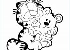 Dessin Gratuit A Imprimer Unique Photos Nos Jeux De Coloriage Garfield à Imprimer Gratuit Page 5
