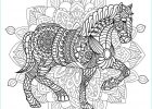 Dessin Mandala Animaux Bestof Image Coloriage Mandala Cheval Adulte Animal Jecolorie