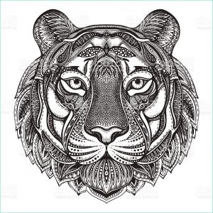 Dessin Mandala Animaux Impressionnant Images Resultado De Imagem Para Tiger Mandala