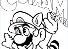 Dessin Mario Bros Élégant Galerie Coloriage Super Mario Bros 3 à Imprimer