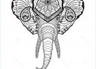 Dessin Tete D&#039;elephant Beau Collection Zentangle A Stylisé La Tête D éléphant Croquis Pour Le