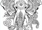 Dessin Tete D&#039;elephant Inspirant Collection Wild at Heart Adult Coloring Book