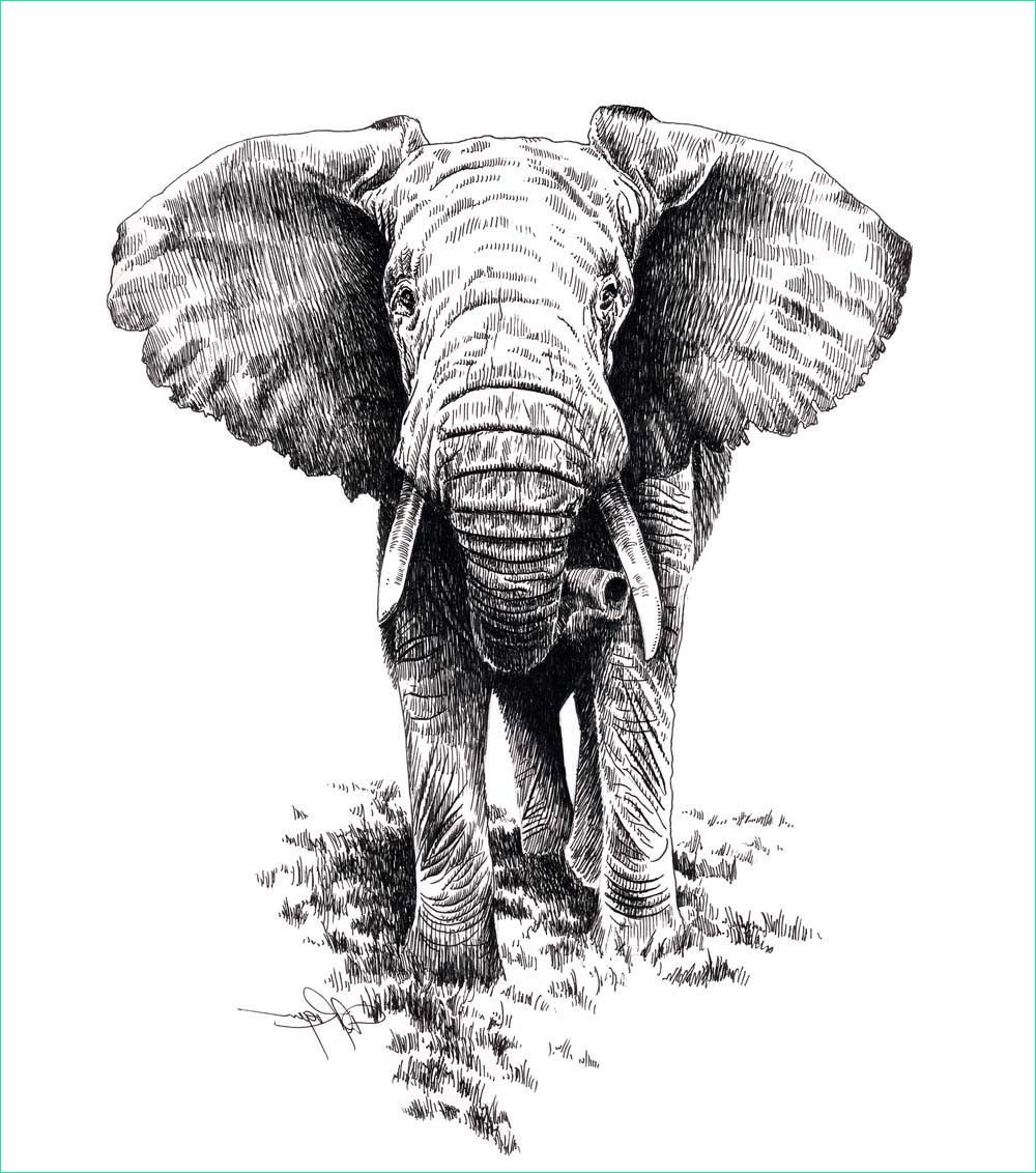 Dessin Tete D&amp;#039;elephant Nouveau Collection Elephant Face Front Google Search A Imprimer