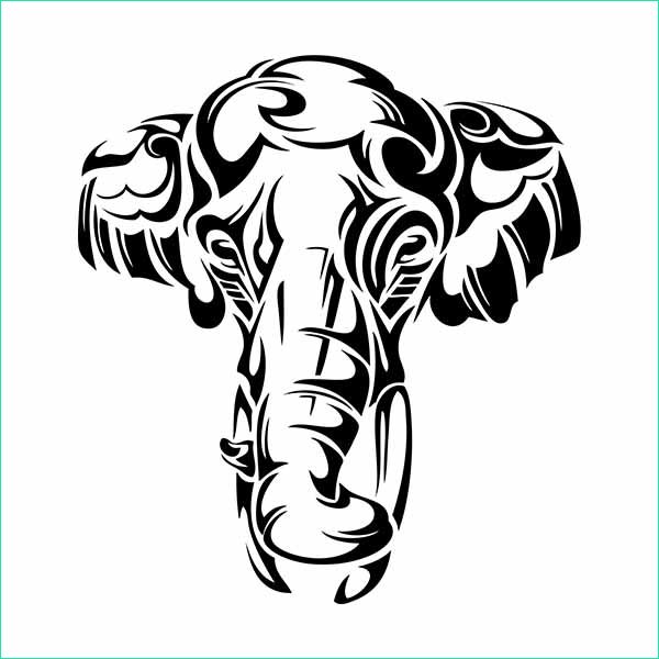 Dessin Tete D&amp;#039;elephant Nouveau Photos Tête D Elephant Tatwotoi Kit De Tatouage éphémère