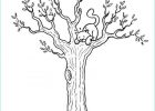 Dessin Tronc D&amp;#039;arbre Imprimer Cool Image 10 Coloriage Tronc D Arbre Imprimer